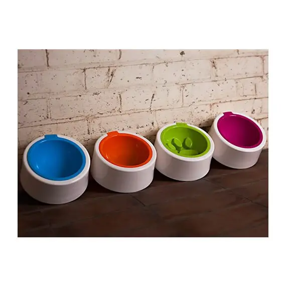 Modern dog bowl collection