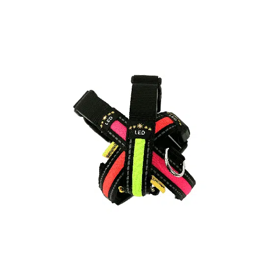 Flashing Dog Collar – LED Dog Collar