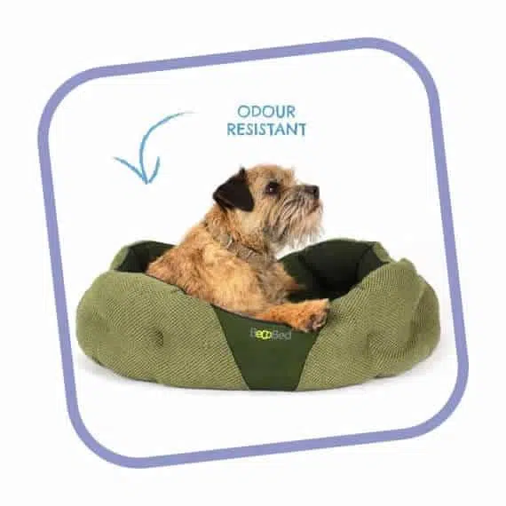 Donut Dog Bed By Beco