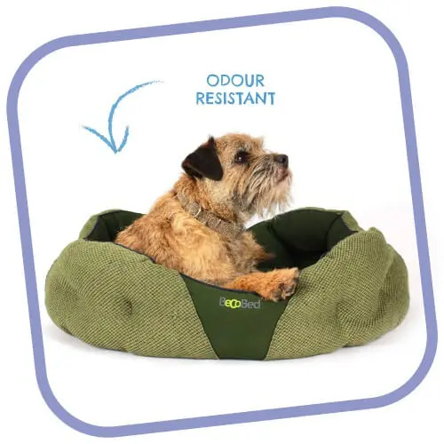 Donut Dog Bed