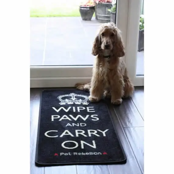 Wipe paws barrier rug