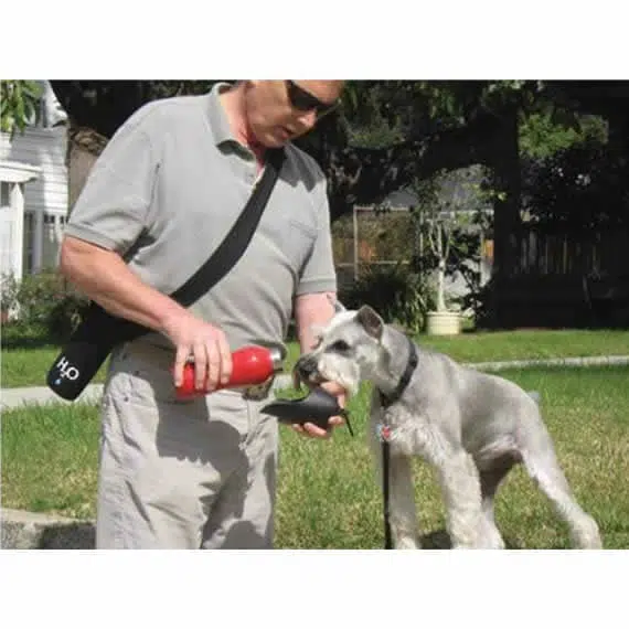 K9 Water Bottle – No Leaks Dog Drinking Bottle