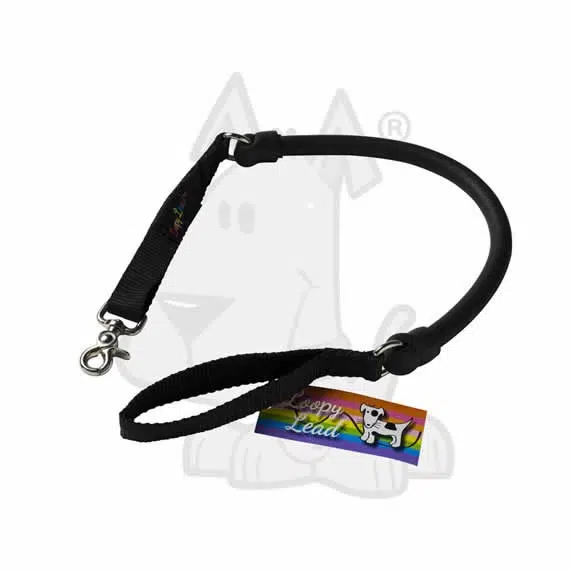 Loopy Flexible Dog Lead