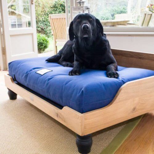 Raised Dog Bed Beagle Raised Dog Bed Beagle