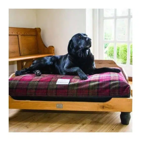 Handmade Wooden Luxury Raised Dog Bed