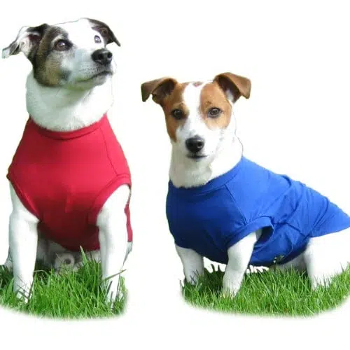 Dog T Shirts By Hotterdog
