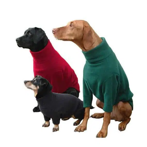 dogs jumpers