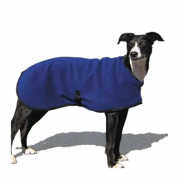 Quality Dog Jacket by Hotterdog