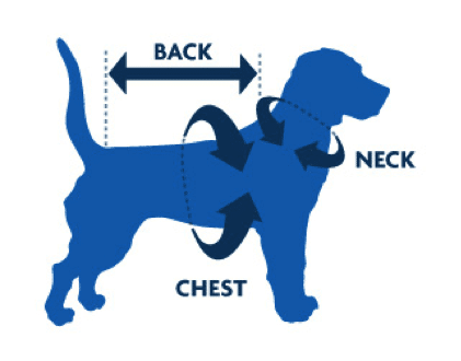 dog-coat-size Dog Coats Need The Right Dog Coat