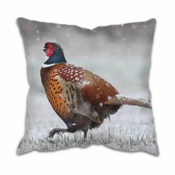 Country Cushion With Pheasant In Snow Design
