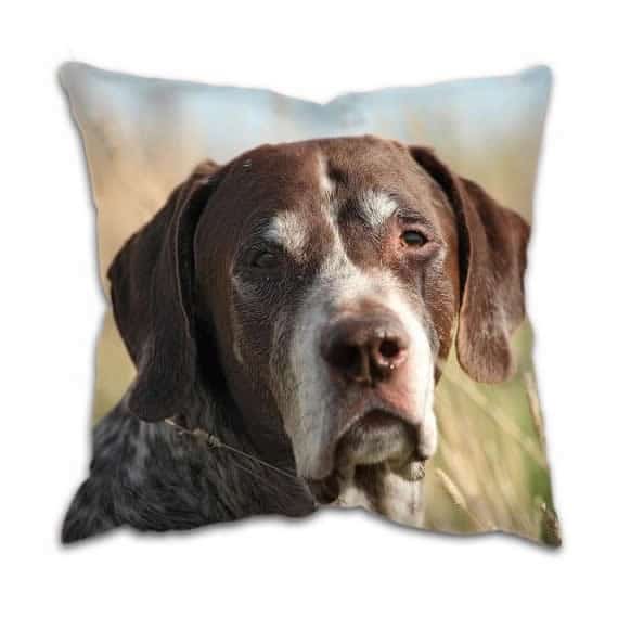 Gun Dog Working Pointer Cushion