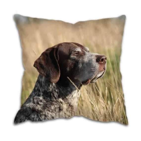 Cushion Gun Dog Pointer