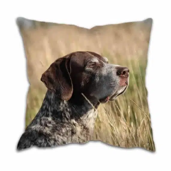 Gun Dog Cushion with Pointer
