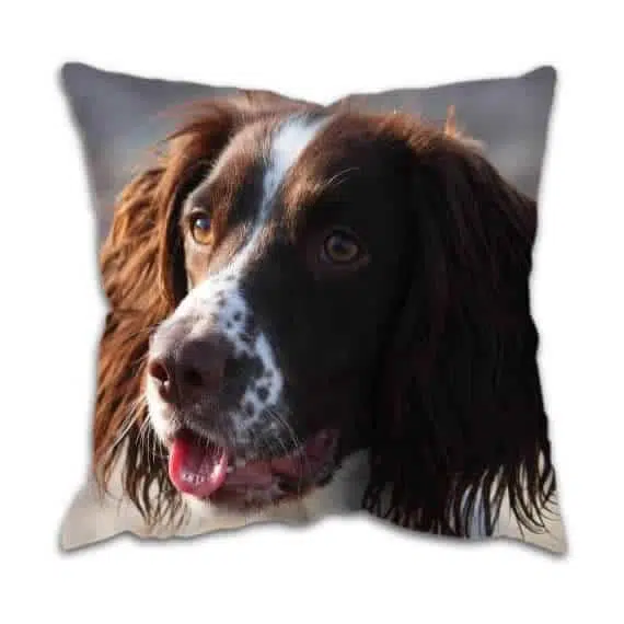 Gun Dog Spaniel Cushion