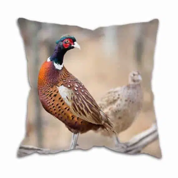 Pheasants Printed Country Cushion