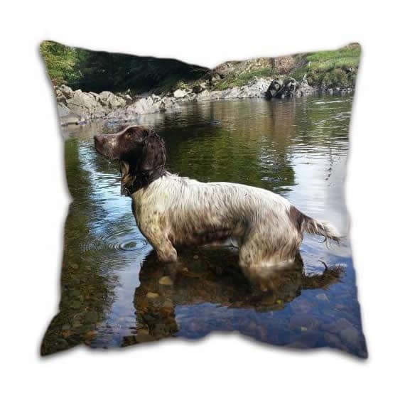 Country Spaniel Dog Cushion