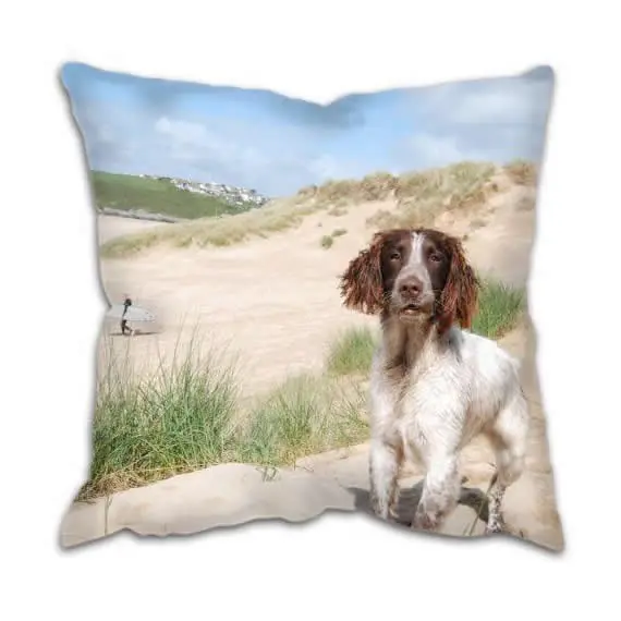 Country Spaniel Dog At The Beach Cushion