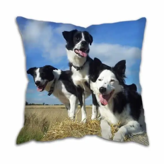 Country Working Dog Collies Cushion
