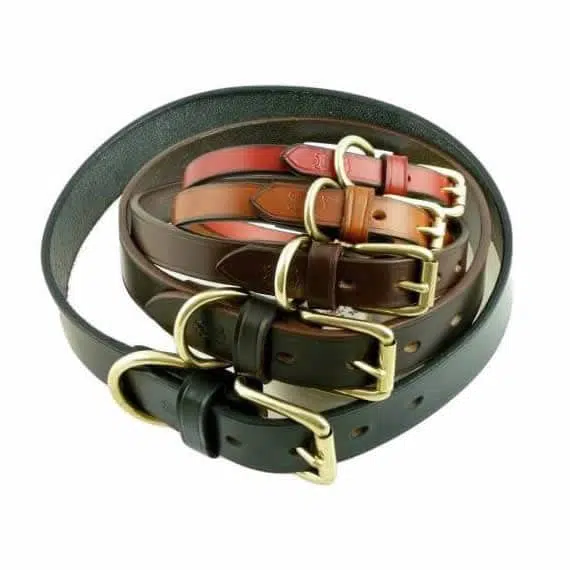 Custom Made Quality Leather Dog Collars