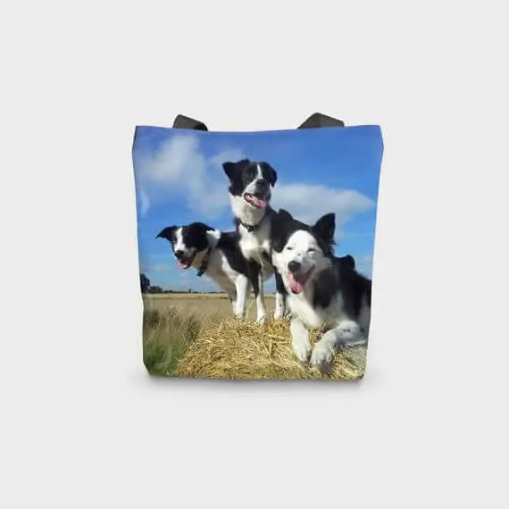 Tote Bag collies on straw bale