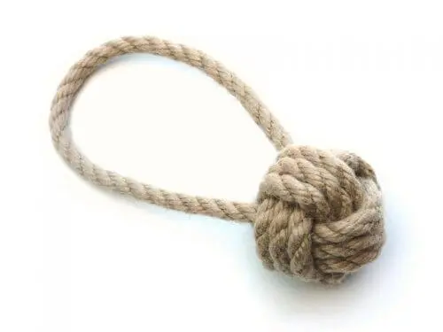 monkey knot dog toy
