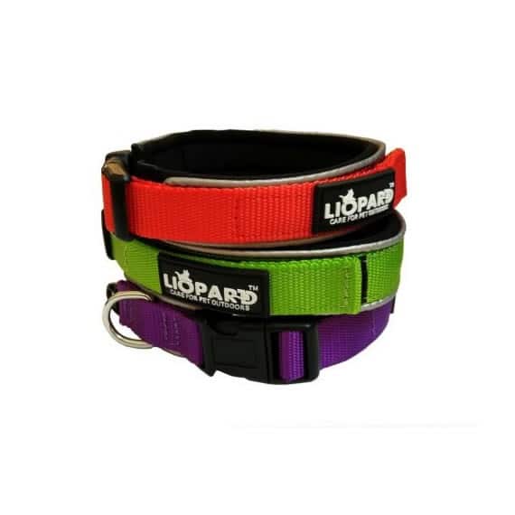 Liopard padded nylon collar set