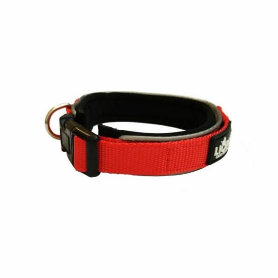 Padded Nylon Collar & Lead Set