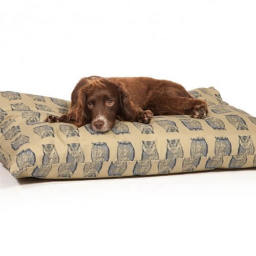 Animal Printed Dog Couches Luxury Dog Beds Paws Plus One