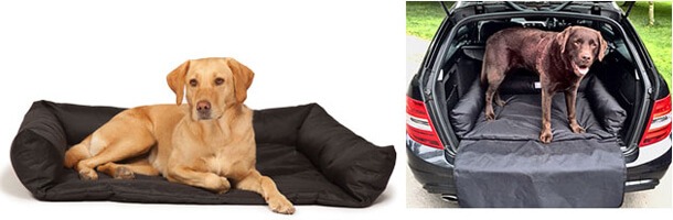 Top Dog Bed Reviews Quality Canine Beds Paws Plus One