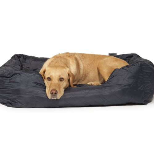 Large Dog Snuggle Balls Large Dog Snuggle Balls