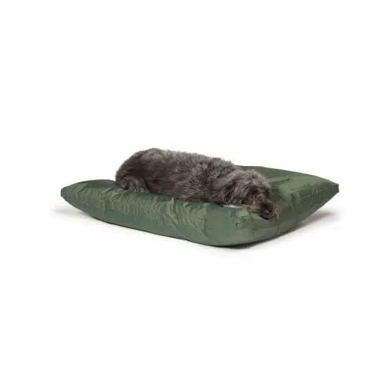 Pawtton Love Designer Luxury Dog Bed