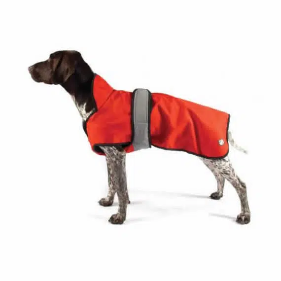 All weather dog coat