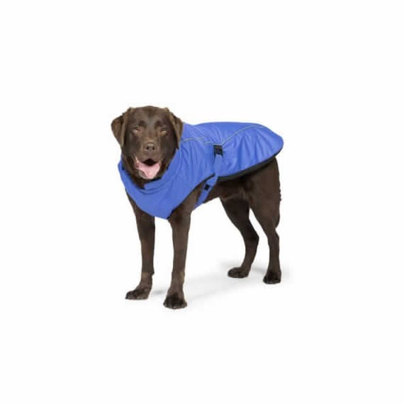 blue Sport Luxe Dog Coat with Velcro Belt