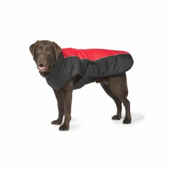 Sport Luxe Dog Coat with Velcro Belt – Danish Design