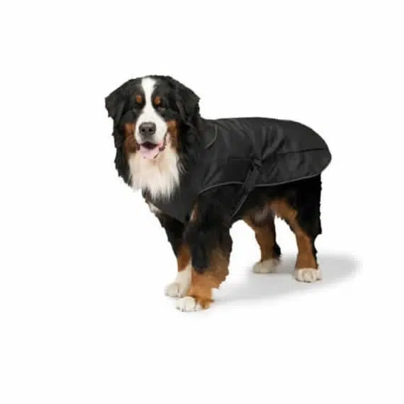 All Weather 2 in 1 Harness Dog Coat Danish Design