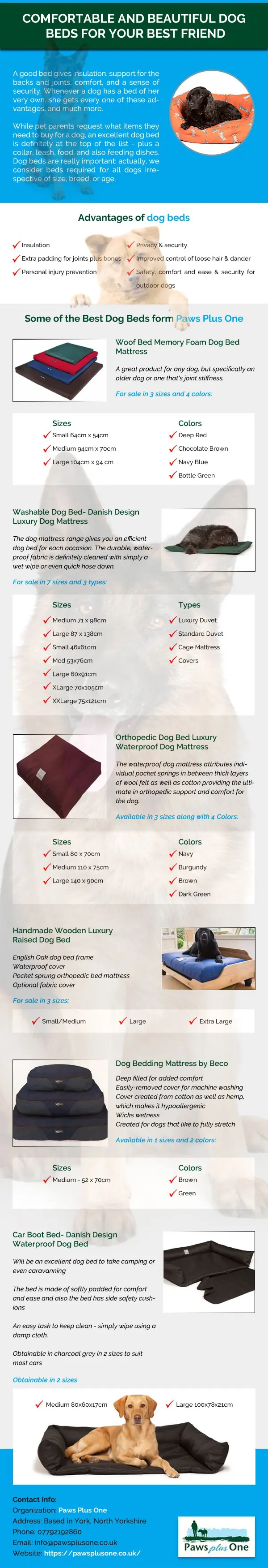 Comfortable and Beautiful Dog Beds