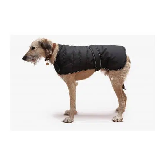 Harness Dog Coat Danish Design with dog