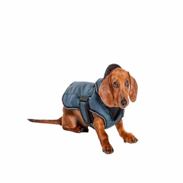 All Weather 2 in 1 Harness Dog Coat Danish Design