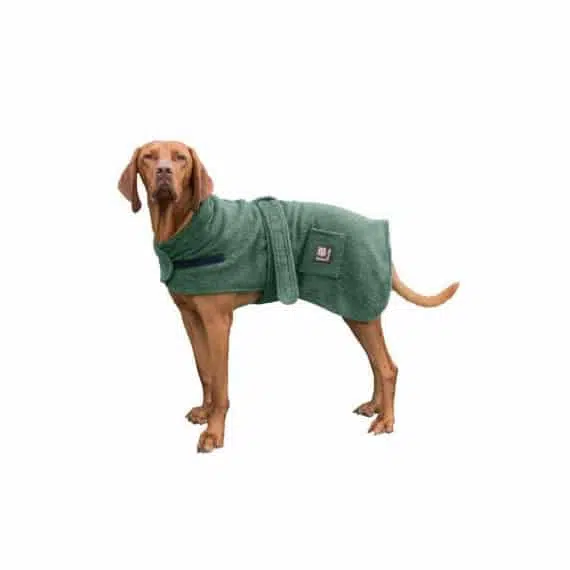 Green Dog Robe with Dog