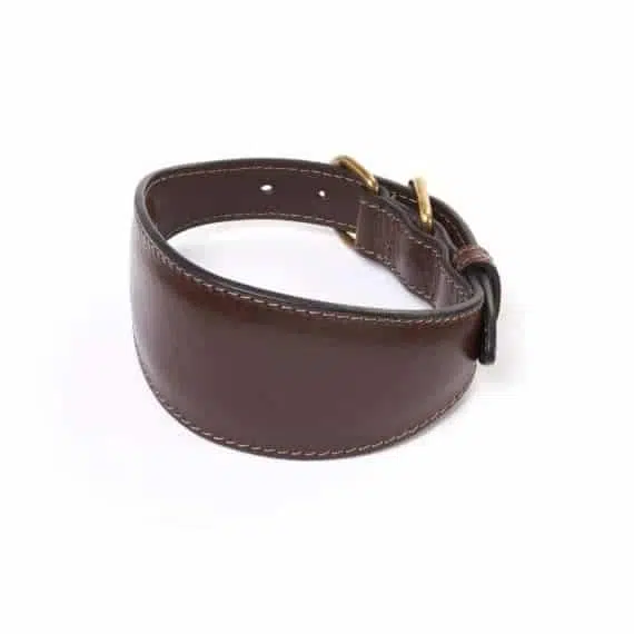 Leather Greyhound Collars – Whippet Collars UK