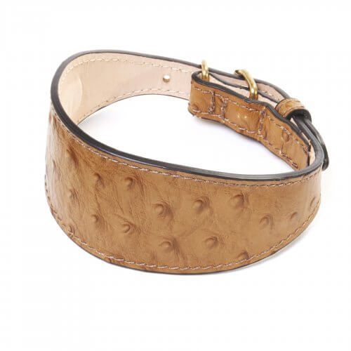 Leather Greyhound Collars Whippet Collars UK Paws Plus One