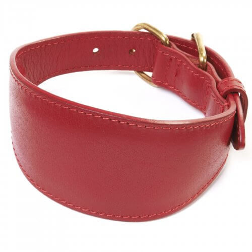 Leather Greyhound Collars Whippet Collars UK Paws Plus One