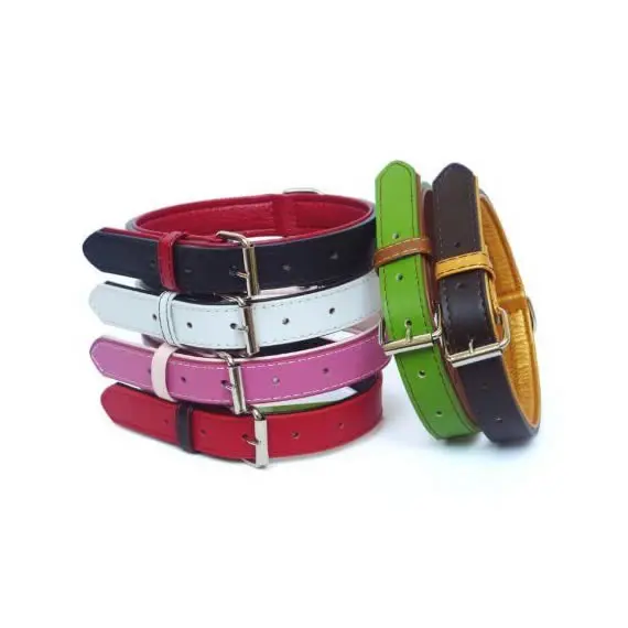 Complete set of Matching Leather Pet Collars