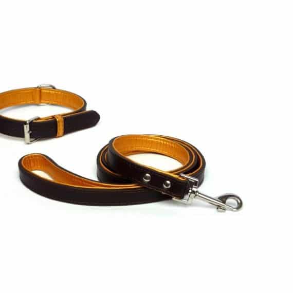 Matching Leather Pet Collars – Collar and Leash
