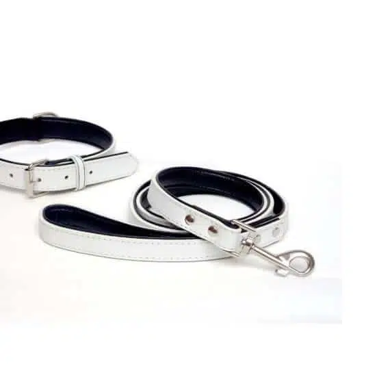 Matching Leather Pet Collars – Collar and Leash