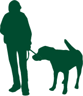 PawsPlusOne_logo2 Products and Accessories for your Dog