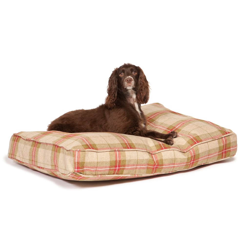 Newton Beige Quality Dog Bed Mattress – Danish Design Beds