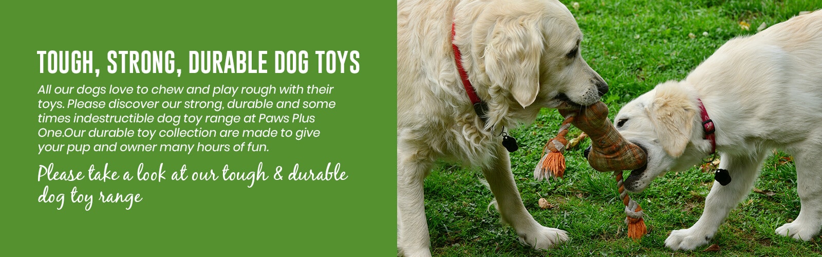 indestructible dog toys uk