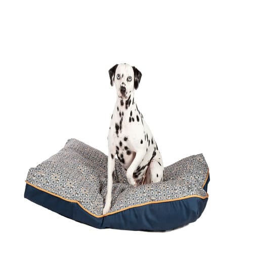 FatFace Geo Bees Deluxe Duvet Dog Bed Range | Danish Design Pet Beds